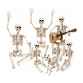 Rookhaven 5.4 ft Skeleton, studio packshot on white