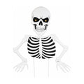 Hollowbrook Skeleton, studio packshot on white