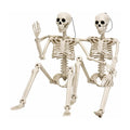 Marrowgate Skeleton, studio packshot on white