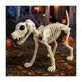 Barkmoor Skeleton Dog