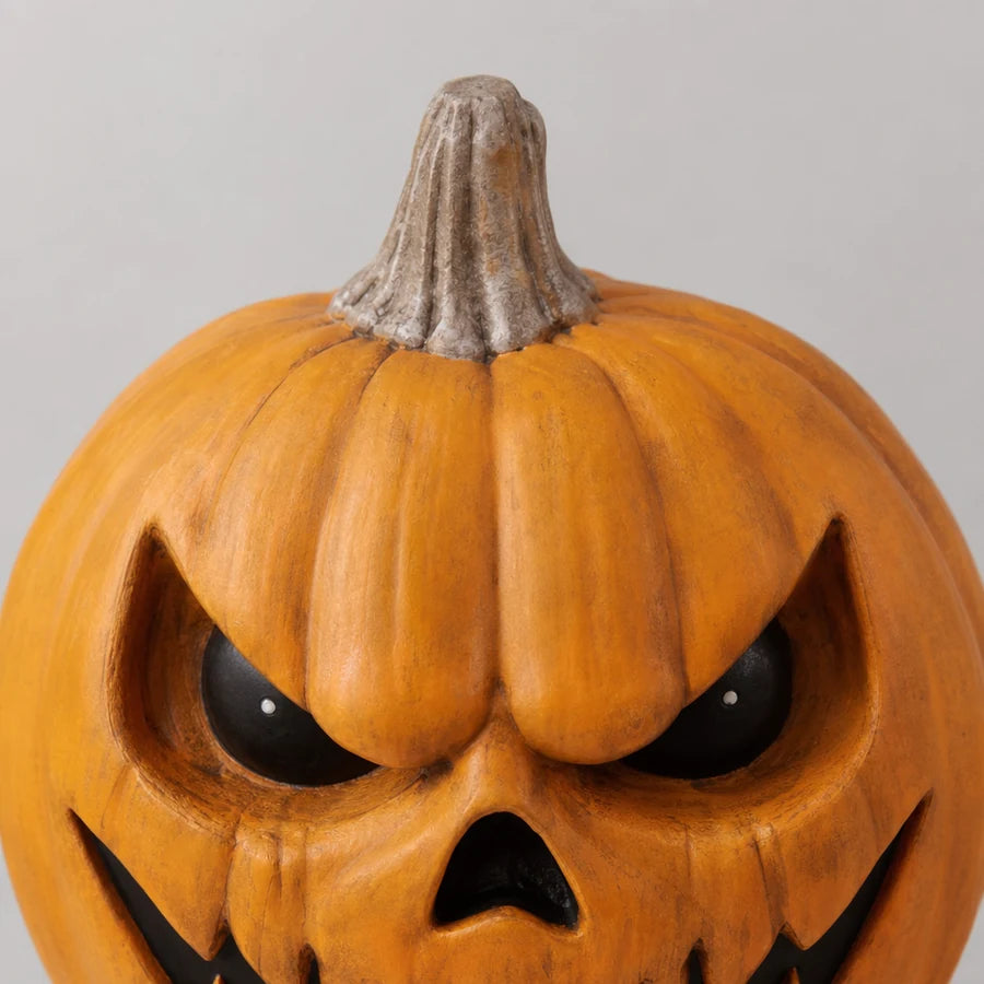 Close crop of the pumpkin stem and top ridges of the head